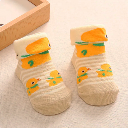 8739_socks_duck